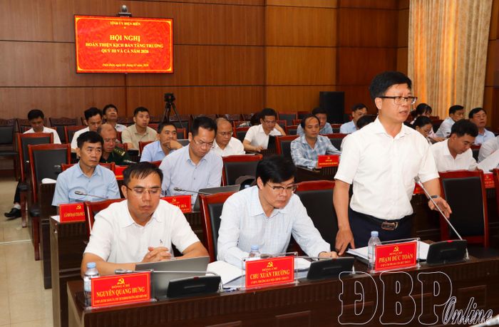 Đồng chí Phạm Đức Toàn, Ủy viên Ban Thường vụ Tỉnh ủy, Trưởng Ban Tổ chức Tỉnh ủy tham gia ý kiến tại hội nghị.