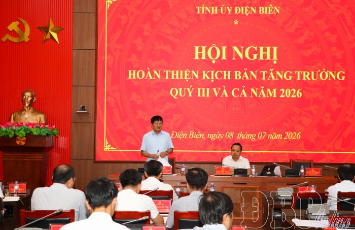 Đồng chí Lê Thành Đô, Phó Bí thư Thường trực Tỉnh ủy, Chủ tịch HĐND tỉnh phát biểu tại hội nghị.