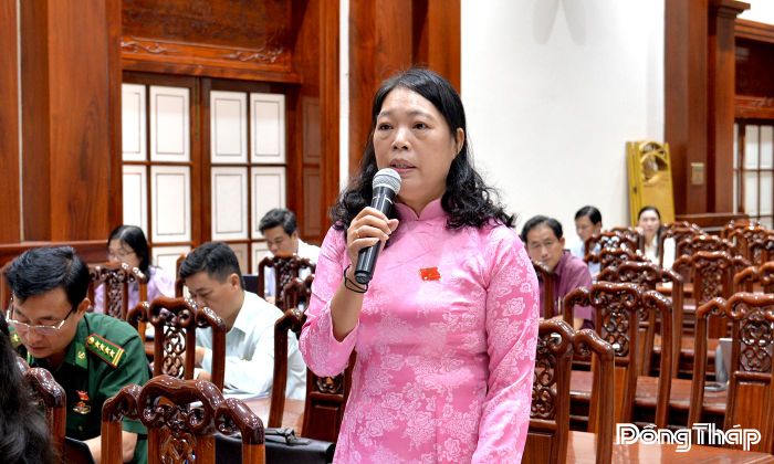 Đại biểu Ngô Thị Ngọc Hạnh phát biểu thảo luận.