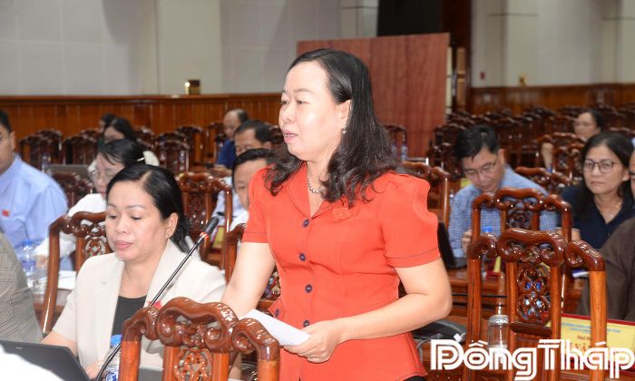 Đại biểu Lê Thị Thanh Nhàn phát biểu thảo luận. 