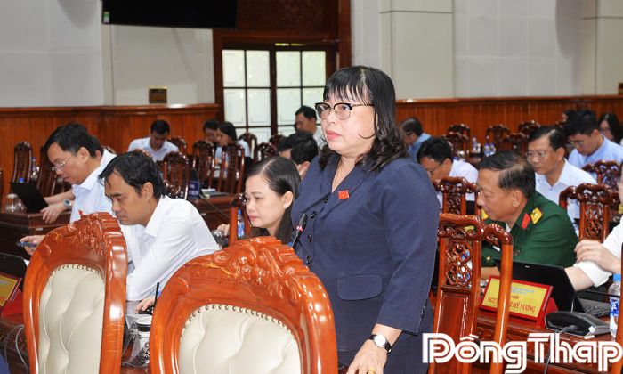Đại biểu Thái Ngọc Bảo Trâm phát biểu thảo luận.