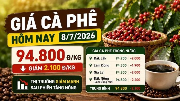 Hình minh họa