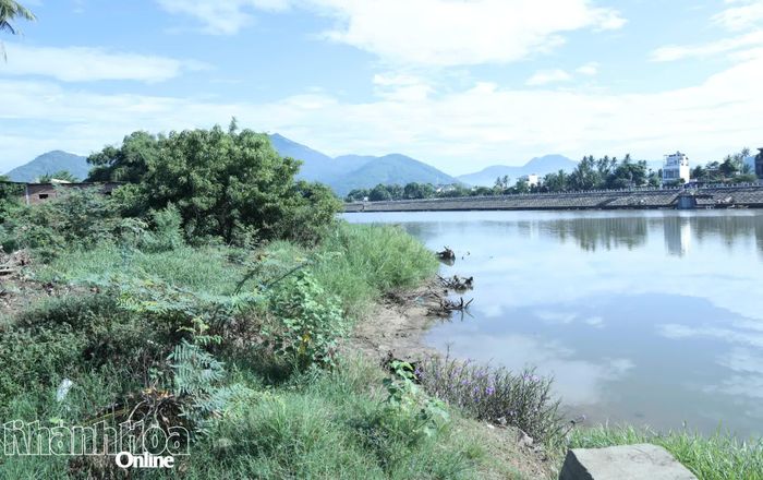Khu vực triển khai dự án.