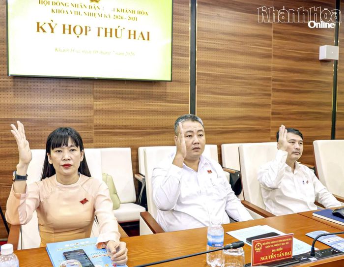 Đại biểu HĐND tỉnh biểu quyết thông qua nghị quyết.