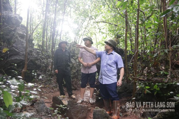 Lãnh đạo Sở Nông nghiệp và Môi trường cùng các đơn vị khảo sát thực tế tại rừng đặc dụng Hữu Liên