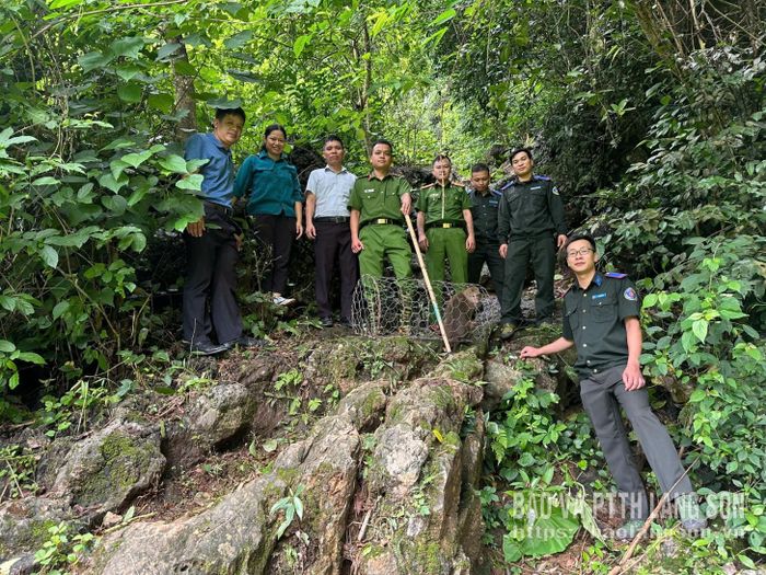 Lãnh đạo UBND xã Yên Bình phối hợp Ban Quản lý rừng đặc dụng và phòng hộ thả cá thể khỉ mốc về rừng đặc dụng Hữu Liên