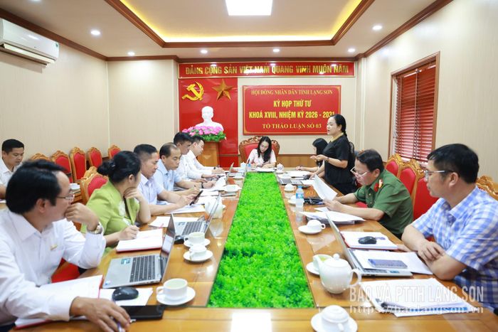 Đại biểu HĐND tỉnh thảo luận tại tổ số 3