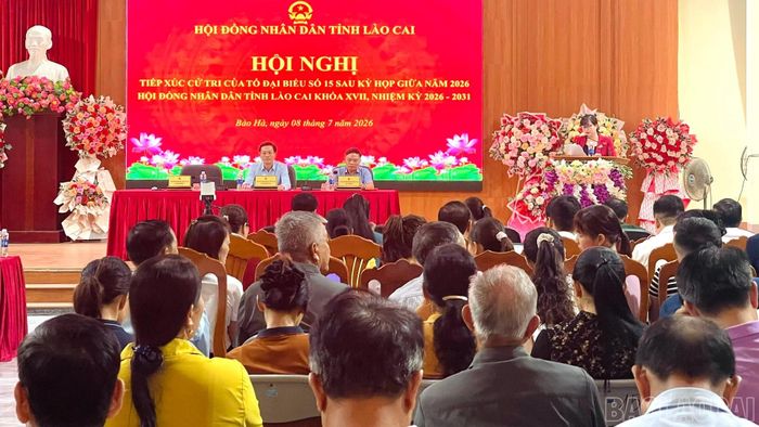 Đại diện tổ đại biểu báo cáo tại hội nghị.