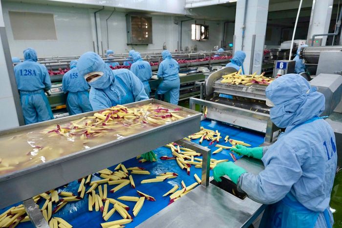 Sản xuất nông nghiệp đóng vai trò quan trọng của ngành