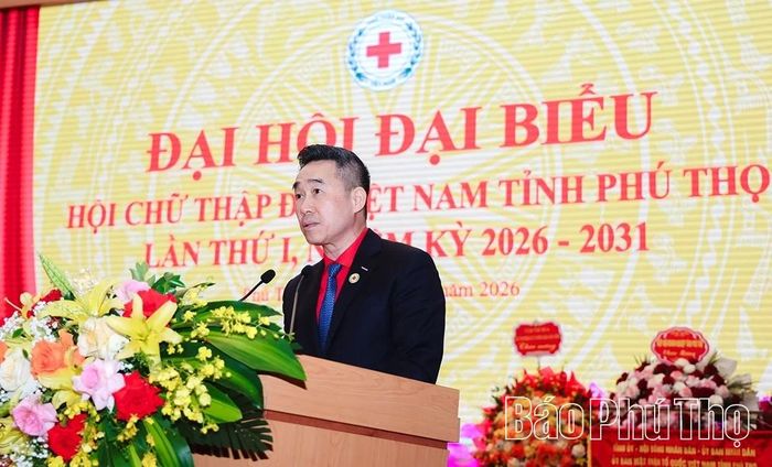 Đồng chí Nguyễn Hải Anh - Phó Chủ tịch, Tổng Thư ký Trung ương Hội Chữ thập đỏ Việt Nam phát biểu tại Đại hội.
