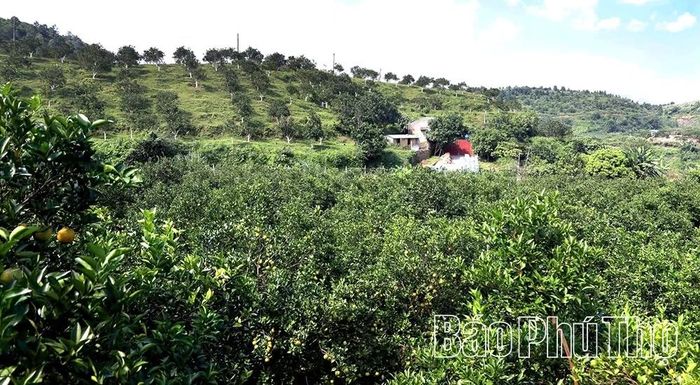 Xã Cao Phong triển khai có hiệu quả việc phát triển sản phẩm OCOP gắn với du lịch.