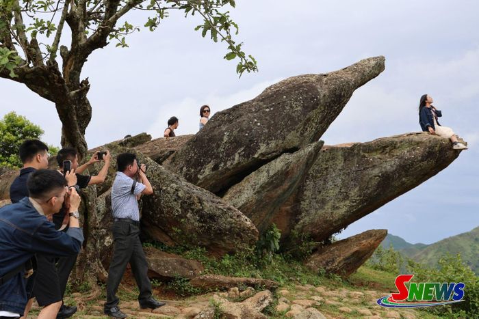 Đoàn Famtrip khảo sát tại mỏm cá heo.