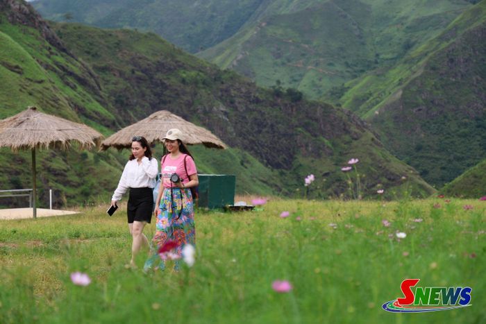 Đoàn Famtrip khảo sát tại khu vực cây cô đơn.