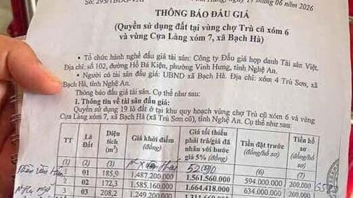  Kết quả các lô đất được đấu giá thành công. 