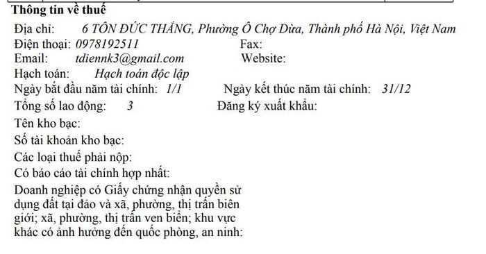 Thông tin về thuế cho thấy, doanh nghiệp này có tổng số lao động là 3 người.
