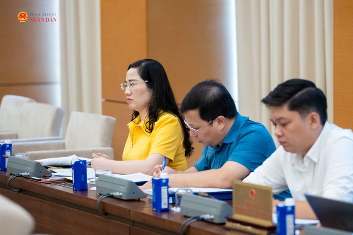Các đại biểu tham dự phiên họp