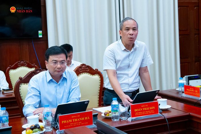 Phó Thống đốc Thường trực Ngân hàng Nhà nước Việt Nam Đoàn Thái Sơn phát biểu