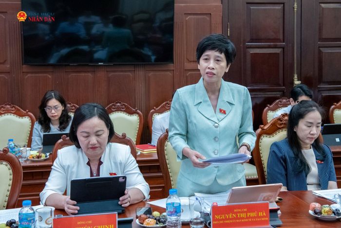 Phó Chủ nhiệm Ủy ban Kinh tế và Tài chính Nguyễn Thị Phú Hà phát biểu