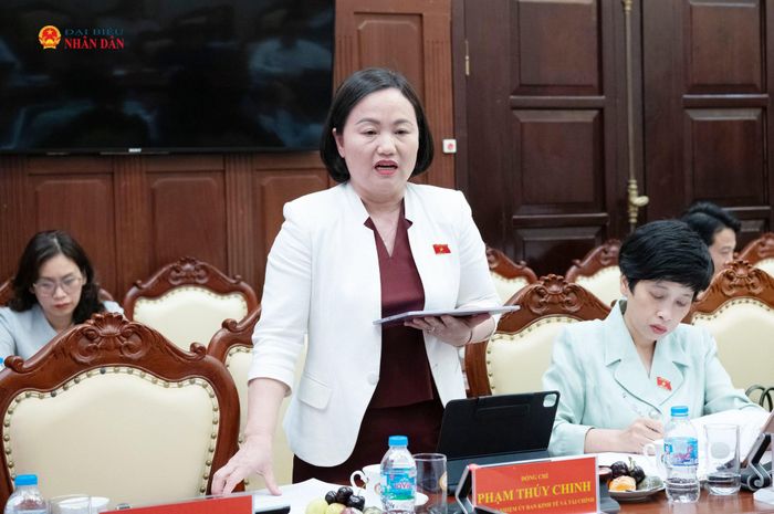 Phó Chủ nhiệm Ủy ban Kinh tế và Tài chính Phạm Thúy Chinh phát biểu