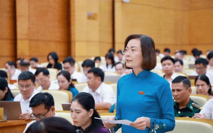 Đại biểu Nguyễn Vũ Thu Hòa, Phó Chủ tịch Ủy ban MTTQ Việt Nam tỉnh, Chủ tịch Hội LHPN tỉnh phát biểu thảo luận tại hội trường