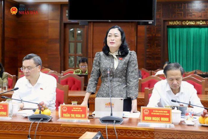 Phó Chủ tịch Hội đồng Dân tộc Trần Thị Hoa Ry phát biểu tại buổi làm việc