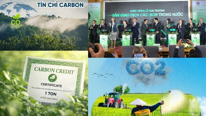 Sàn giao dịch carbon chính thức vận hành mở ra cơ chế định giá phát thải minh bạch và thúc đẩy dòng vốn đầu tư vào các dự án xanh - Ảnh minh họa
