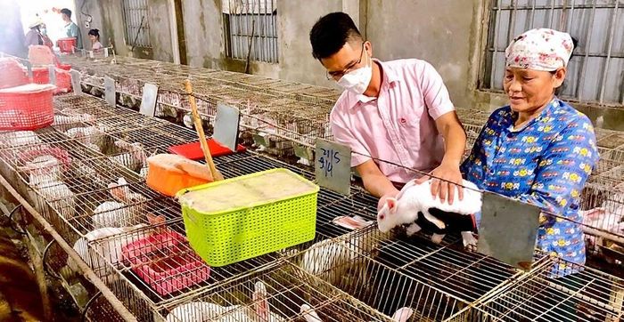 Đẩy mạnh các gói tín dụng đáp ứng đầy đủ và kịp thời nhu cầu vốn cho sản xuất, kinh doanh, phục vụ nhu cầu đời sống, tiêu dùng chính đáng...