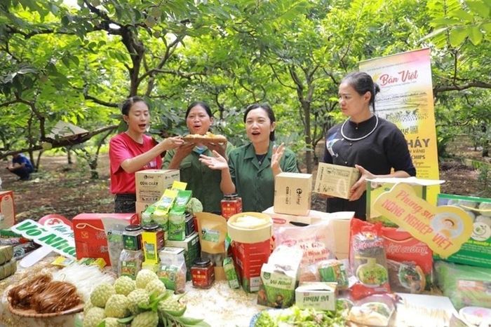 Đưa thương mại điện tử trở thành công cụ hỗ trợ thiết thực cho mục tiêu phát triển xuất khẩu (Báo Chính phủ)