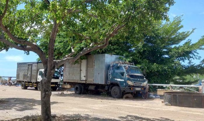 Người dân ngang nhiên biến mặt bờ kè Bạch Đằng thành "sân riêng" để xếp hàng hóa, đậu đỗ xe ô tô. Ảnh: Việt Tường.