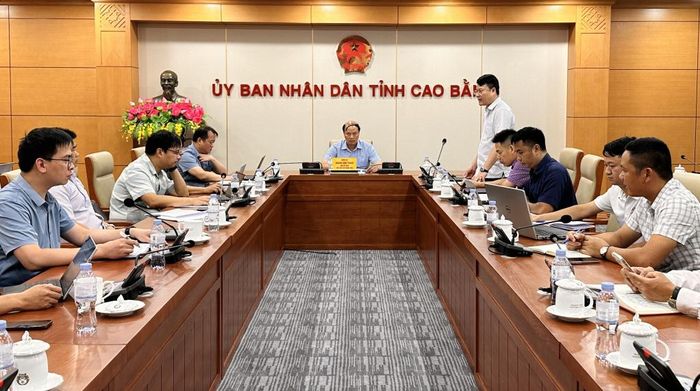 Các đại biểu dự cuộc họp.