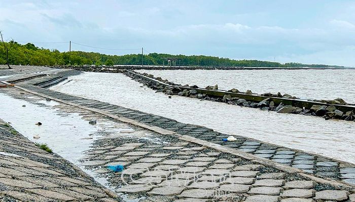 Hệ thống kè bảo vệ tuyến đê biển Tây là một trong những công trình đặc biệt quan trọng, giúp bảo vệ đê và sản xuất của người dân vùng ngọt.