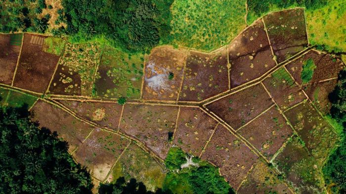 Land sparing có thể hiểu là chiến lược tách biệt đất sản xuất với đất bảo tồn