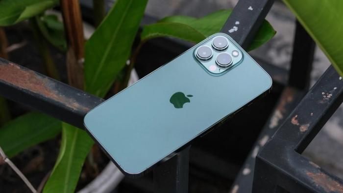 iPhone 13 Pro Max