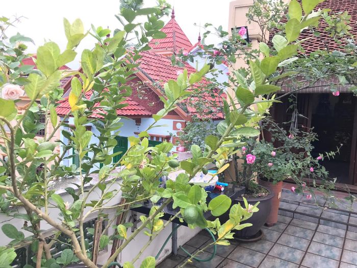 Sau khi nghỉ Nhà hát Tuổi trẻ để về hưu, NSND Lê Khanh không còn ở phố cổ chật hẹp mà chuyển về An Dương Vương (Tây Hồ, Hà Nội) để sinh sống.