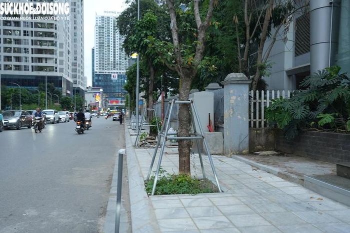 Thay vào đó, hiện người dân hiện đã có thể di chuyển thuận tiện khi mặt đường được mở rộng lên 21m, vỉa hè lát đá đồng bộ cùng hàng cây xanh mới trồng, hệ thống hạ tầng kỹ thuật, đèn chiếu sáng hoàn thiện.