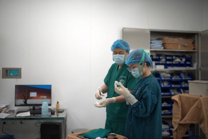 Ê kíp chuẩn bị gây mê cho bệnh nhân trước khi phẫu thuật.