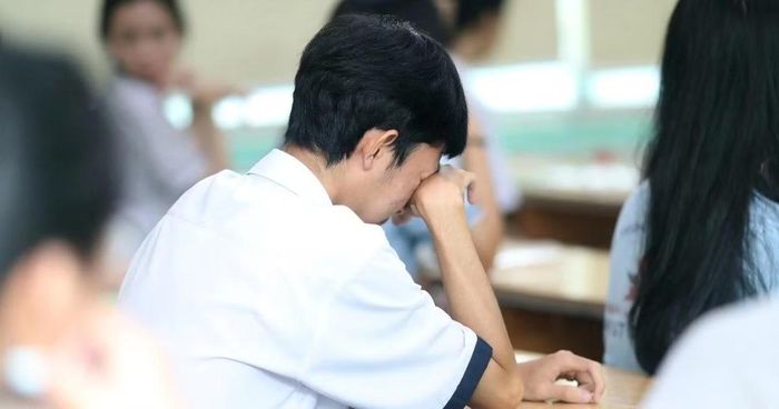 (Ảnh minh họa từ Internet)