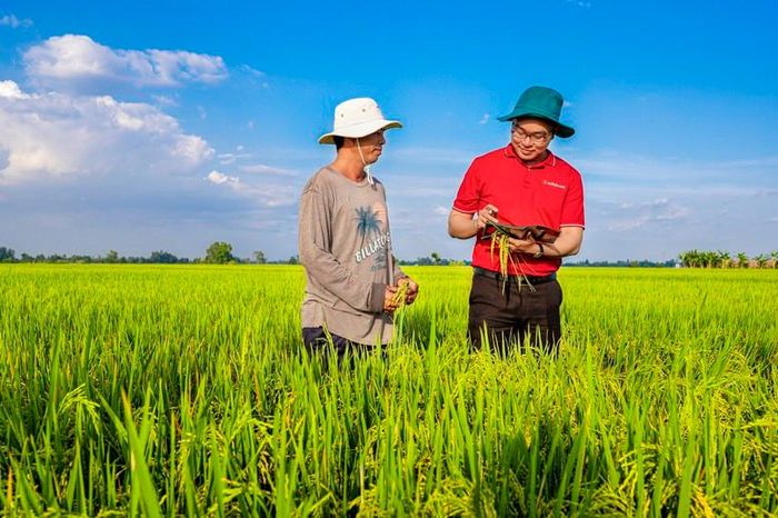 Agribank tiếp tục khẳng định vai trò là ngân hàng thương mại chủ lực trong đầu tư phát triển "Tam nông"