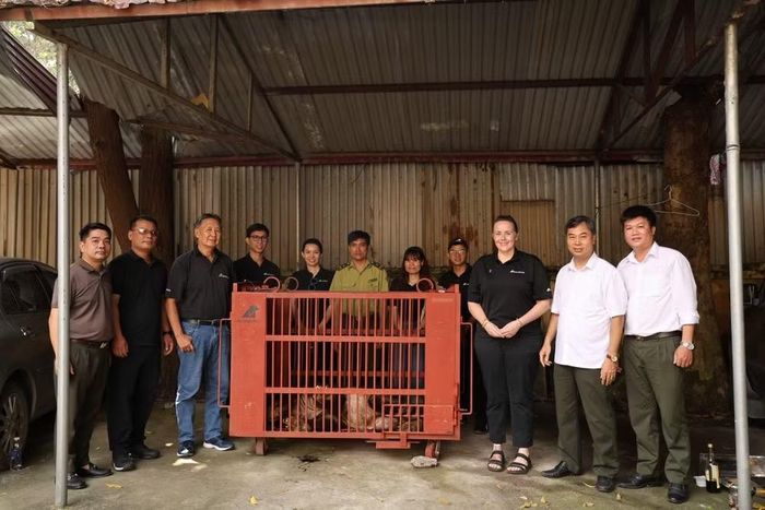 Hạt Kiểm lâm số 7 Hà Nội và Tổ chức động vật châu Á, VQG Bạch Mã chụp ảnh cùng gấu cứu hộ. (Ảnh: Ban tổ chức)