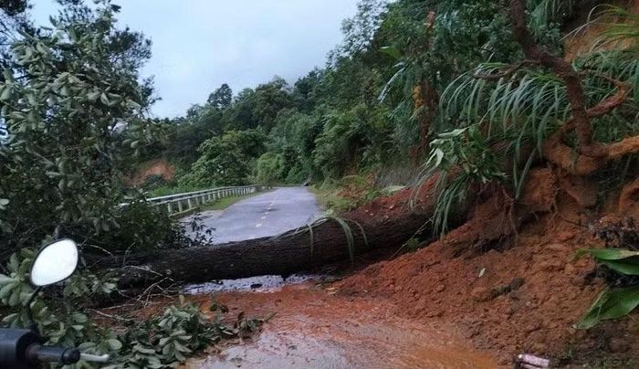 Nhiều cây lớn, đất đá sạt lở trên Quốc lộ 12 qua địa bàn tỉnh Điện Biên.