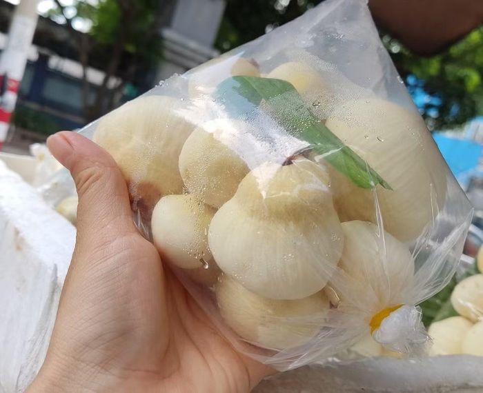 Mộng dừa bên trong quả dừa già vừa bổ.