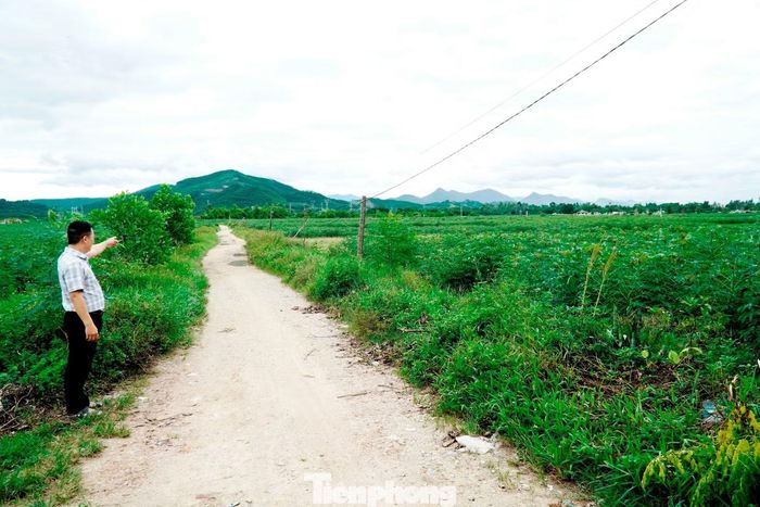 Dự án CCN Hương Xuân triển khai trên khu đất rộng 58 ha, trị giá đầu tư gần 487 tỷ đồng vẫn chưa có hoạt động xây dựng nào.