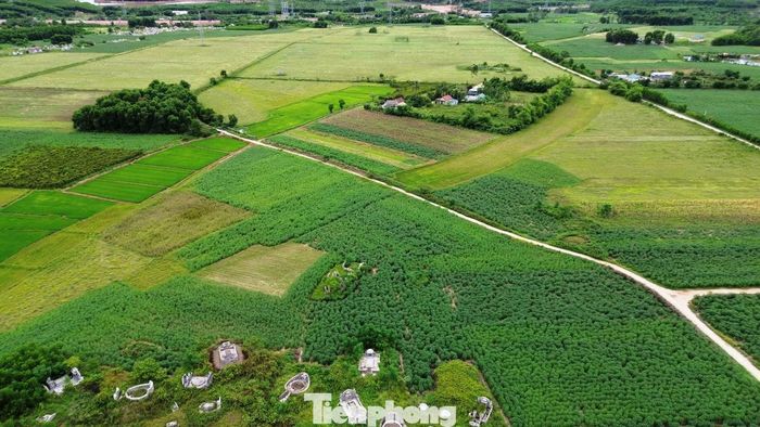 Dù nhiều lần hứa hẹn, nhưng những chủ đất nơi đây vẫn chưa nhận được đồng tiền đền bù nào.