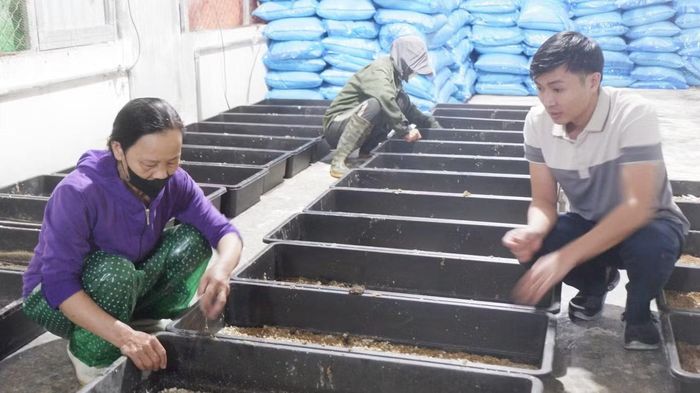 Khu vực nuôi sâu Canxi tạo nguồn nguồn đạm tự nhiên giàu dinh dưỡng để nuôi gà, cá và nhiều loại vật nuôi khác