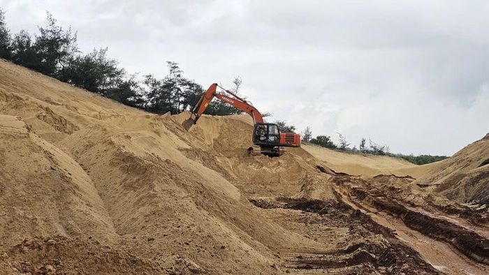 Kết quả đấu giá cao bất thường.