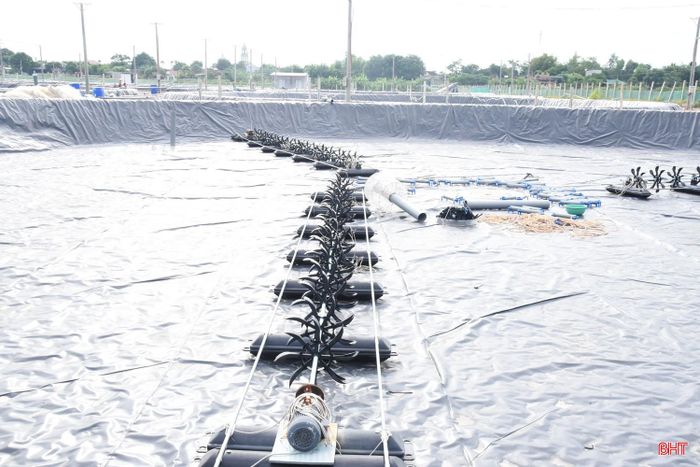 Các ao nuôi tôm được đầu tư xây dựng hiện đại, kiên cố đang sẵn sàng đưa vào sử dụng nuôi tôm giai đoạn 2 của vụ hè thu.