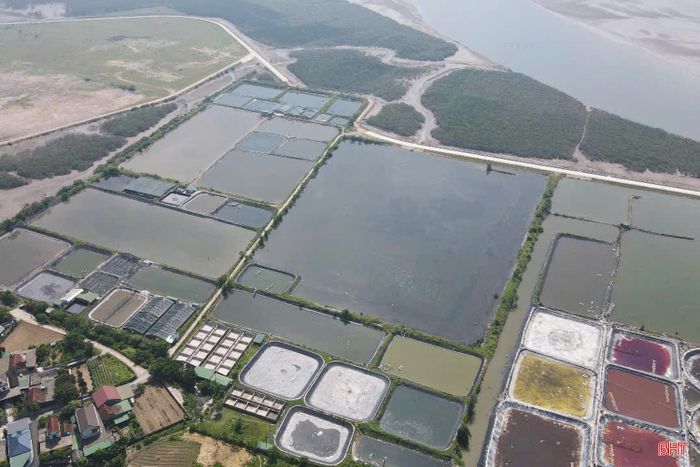 Các khu nuôi tôm công nghệ cao với đầy đủ bể bê tông trong nhà, hệ thống ao nuôi giai đoạn 2, giai đoạn 3, khu xử lý nước cấp, khu xử lý nước thải... được xây dựng đồng bộ, liên hoàn (ảnh chụp tại thôn Thạch Bằng).