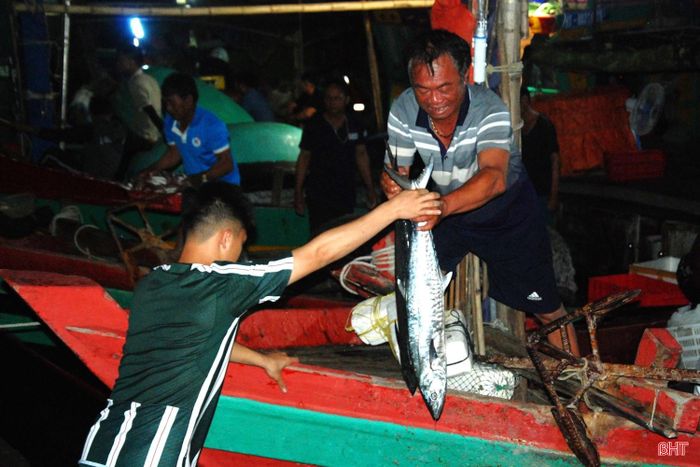 Những con cá tươi ngon, có giá trị cao được ngư dân Lộc Hà đánh bắt ngoài khơi đưa về đất liền lúc trời chưa sáng.