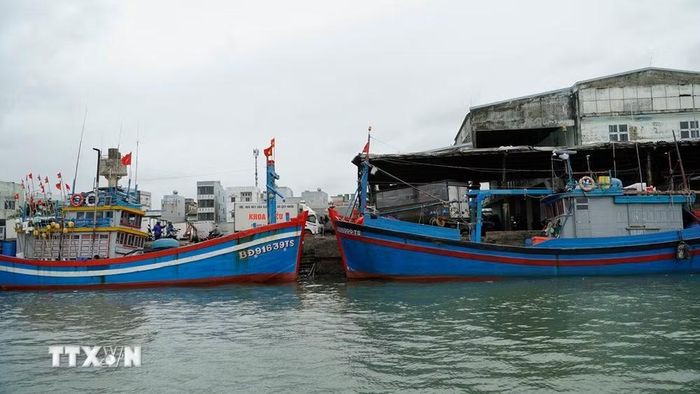 Tàu cá cập cảng Quy Nhơn làm thủ tục xuất nhập. (Ảnh: Đình Quân/TTXVN)