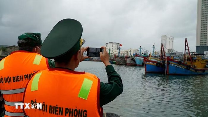 Lực lượng biên phòng kiểm tra, giám sát chặt chẽ tàu cá "3 không."(Ảnh: Đình Quân/TTXVN)